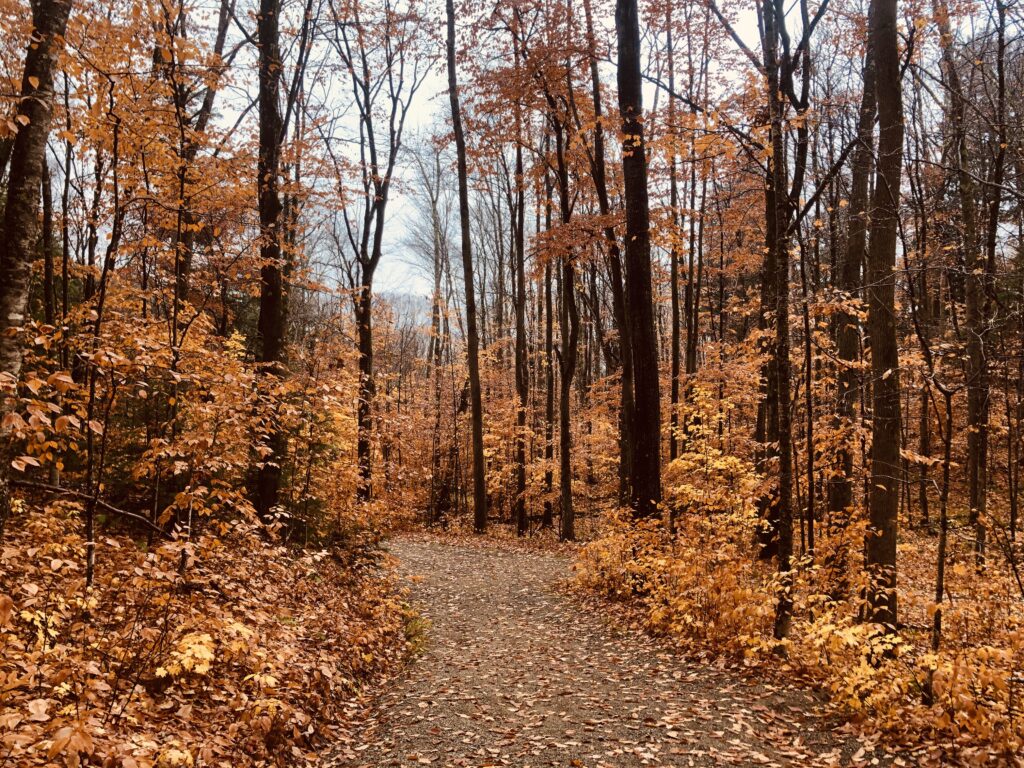 Fall Trip To New England Fall Foliage Spooky Things Travel Squad